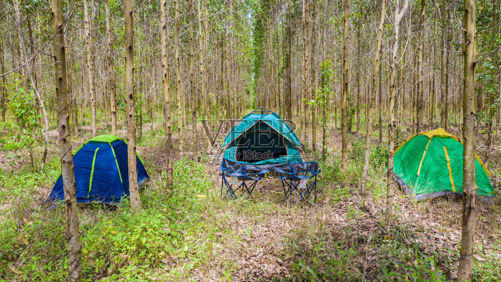 露营和帐篷在森林里照片摄影图片