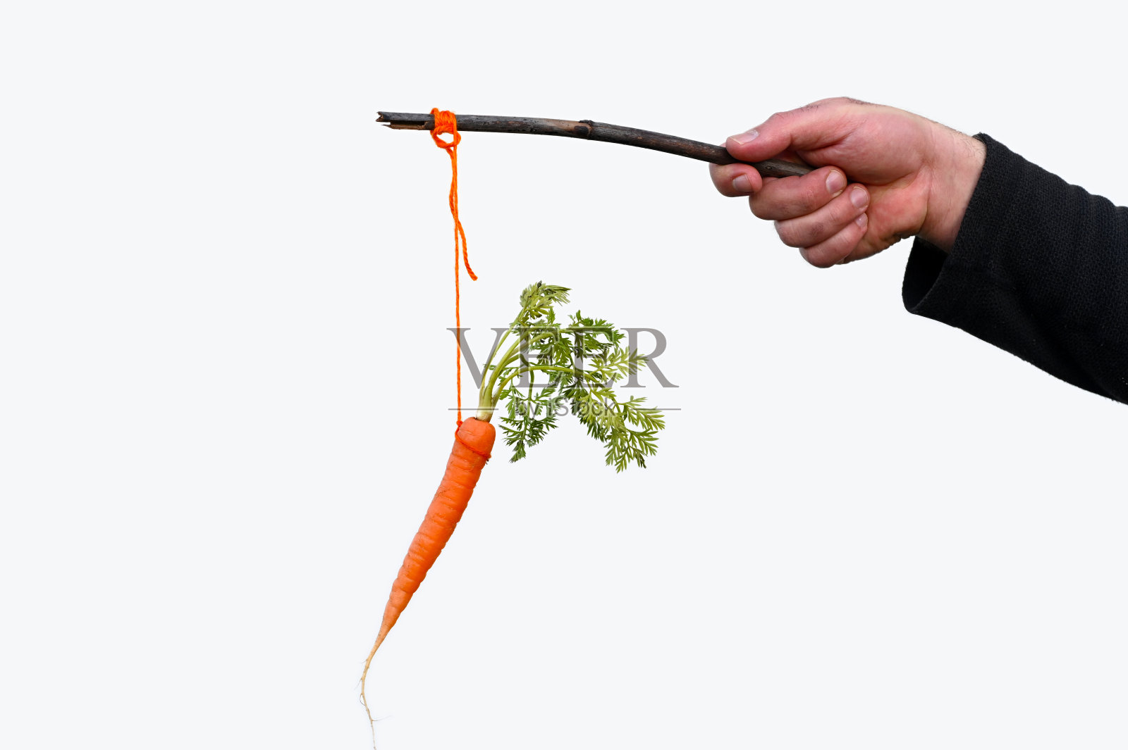 商人手握胡萝卜在一根孤立的白底木棍上照片摄影图片