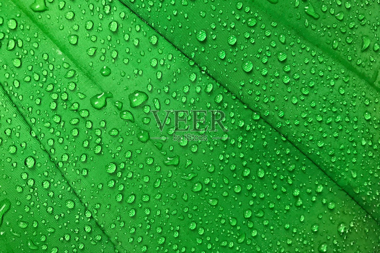 水滴在绿色画布的背景上照片摄影图片