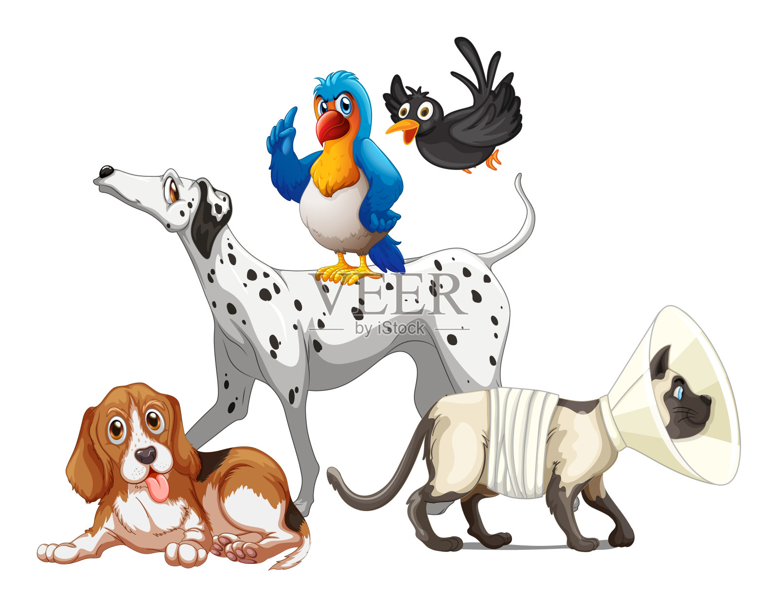 白色背景上的一组宠物设计元素图片
