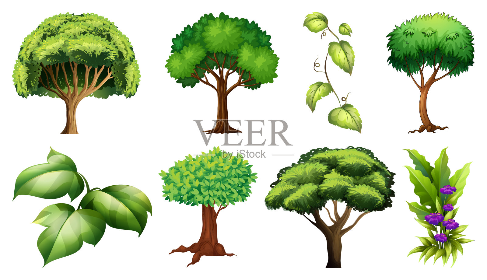 各种植物和树木插画图片素材