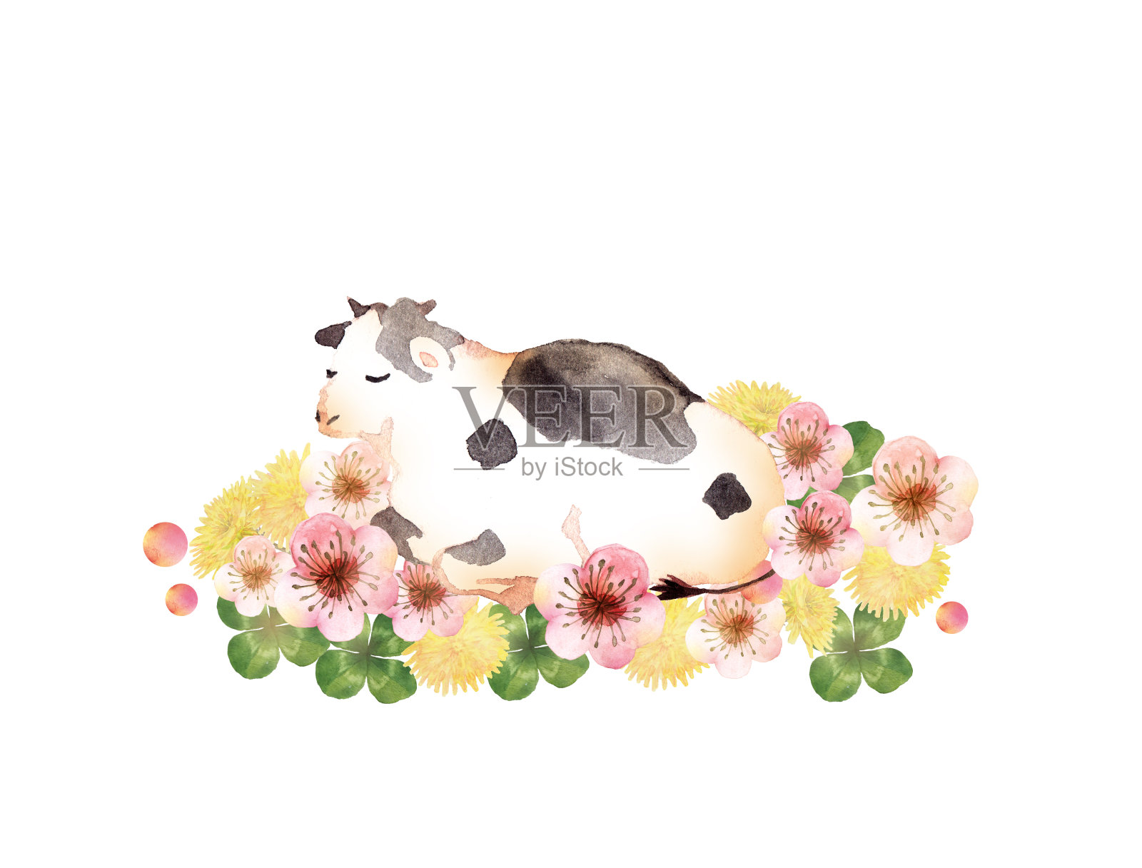 水彩画牛和花插画图片素材