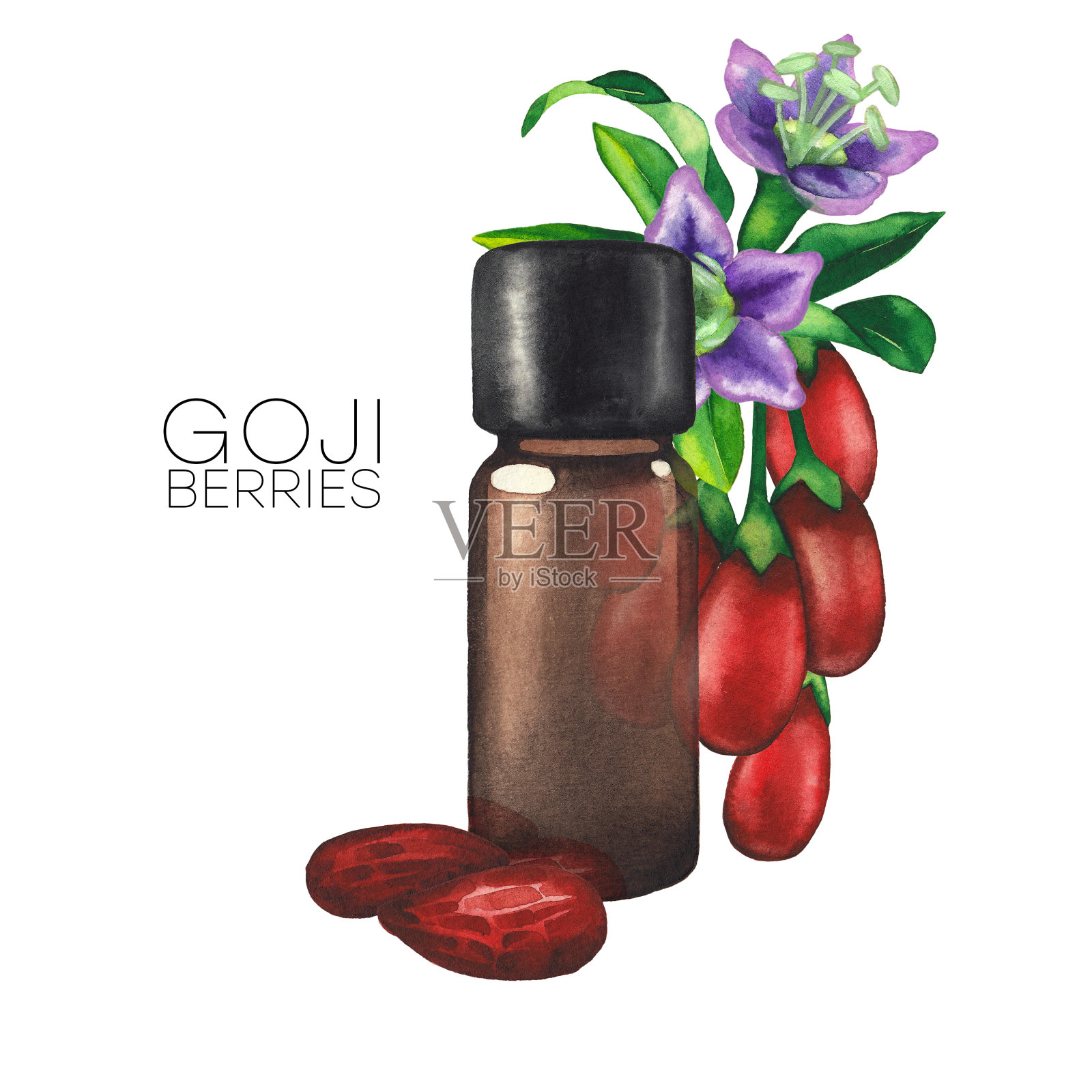 水彩精油瓶装饰枸杞浆果，树叶和花插画图片素材