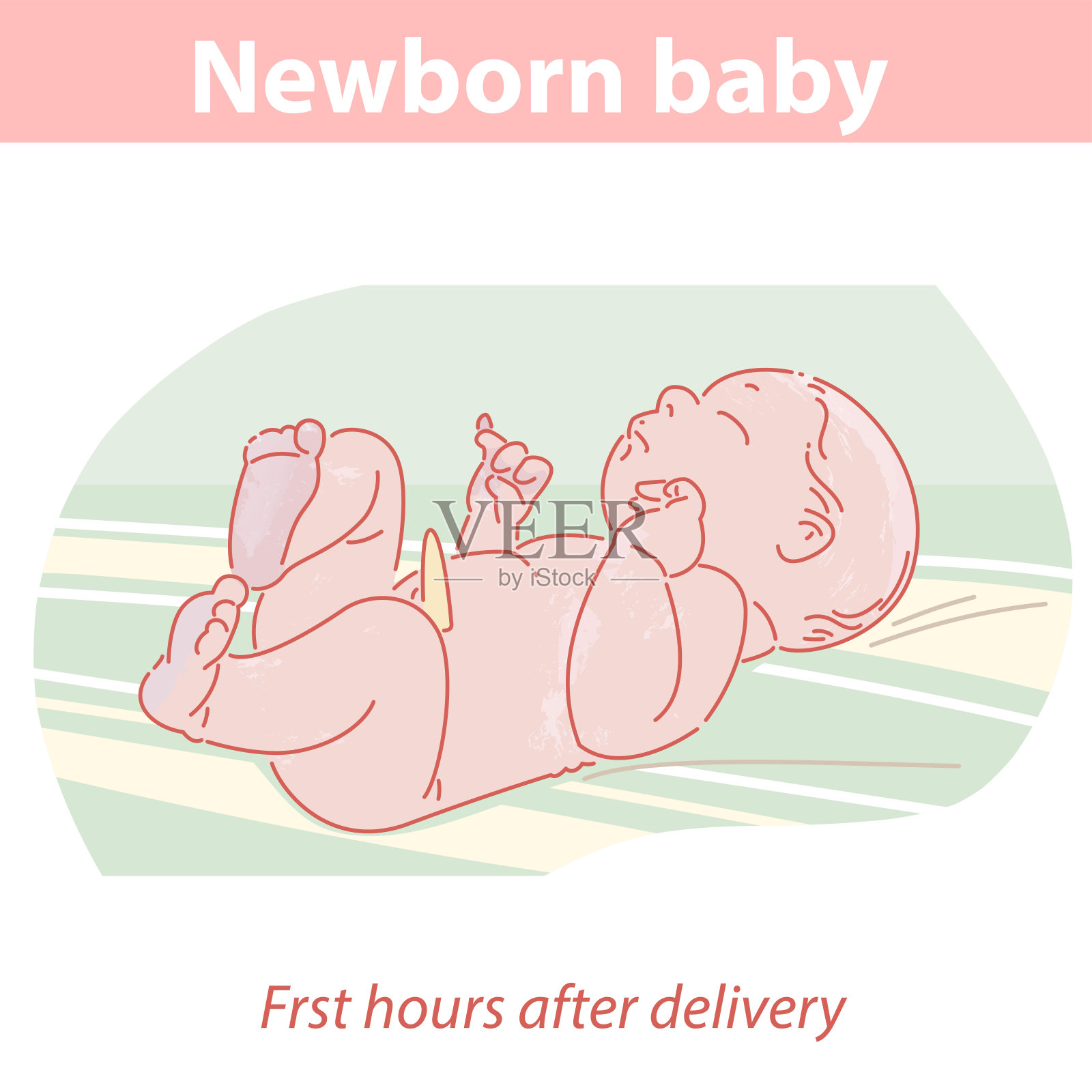 分娩后几分钟内的新生儿。插画图片素材