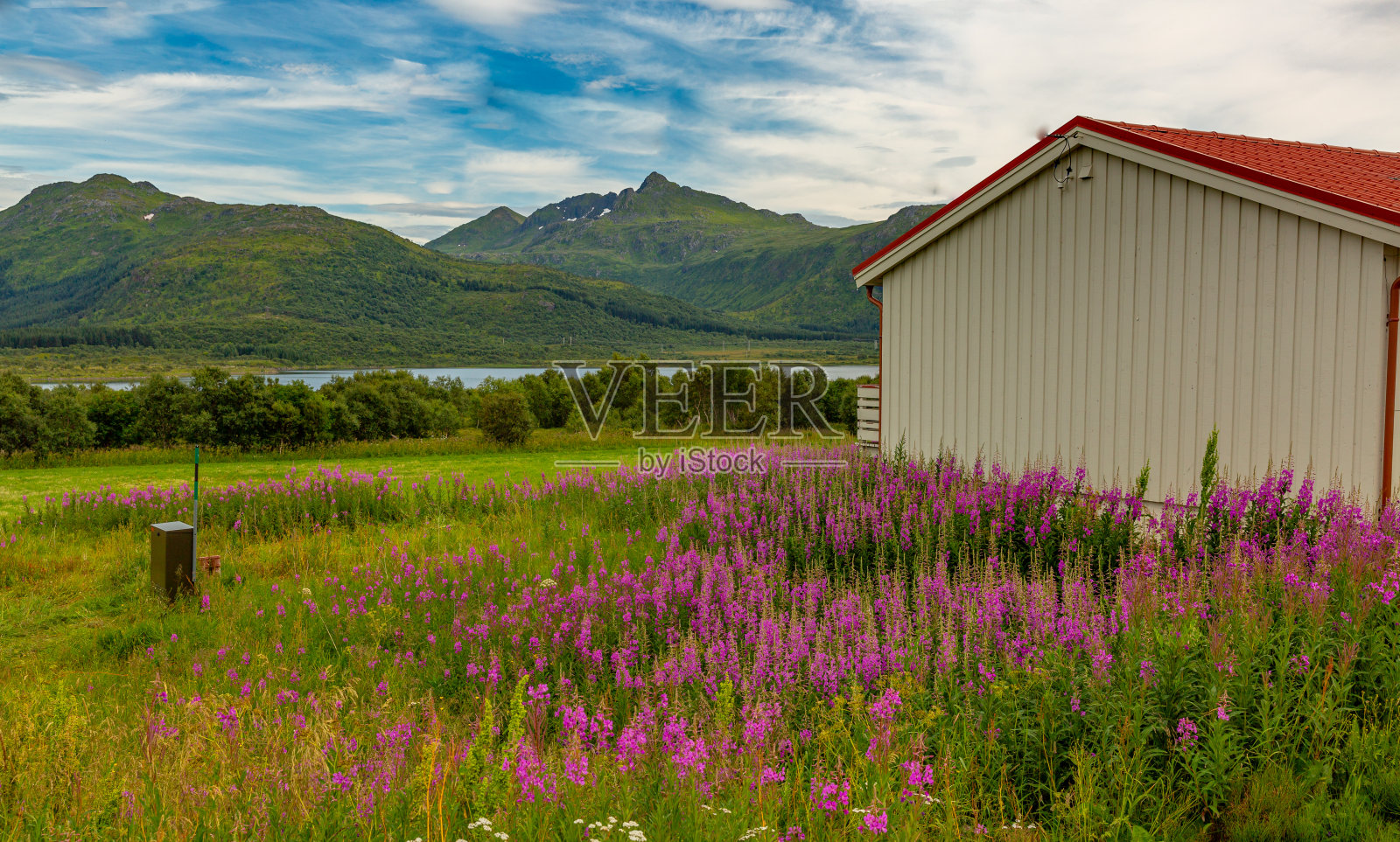 挪威国家的房子照片摄影图片