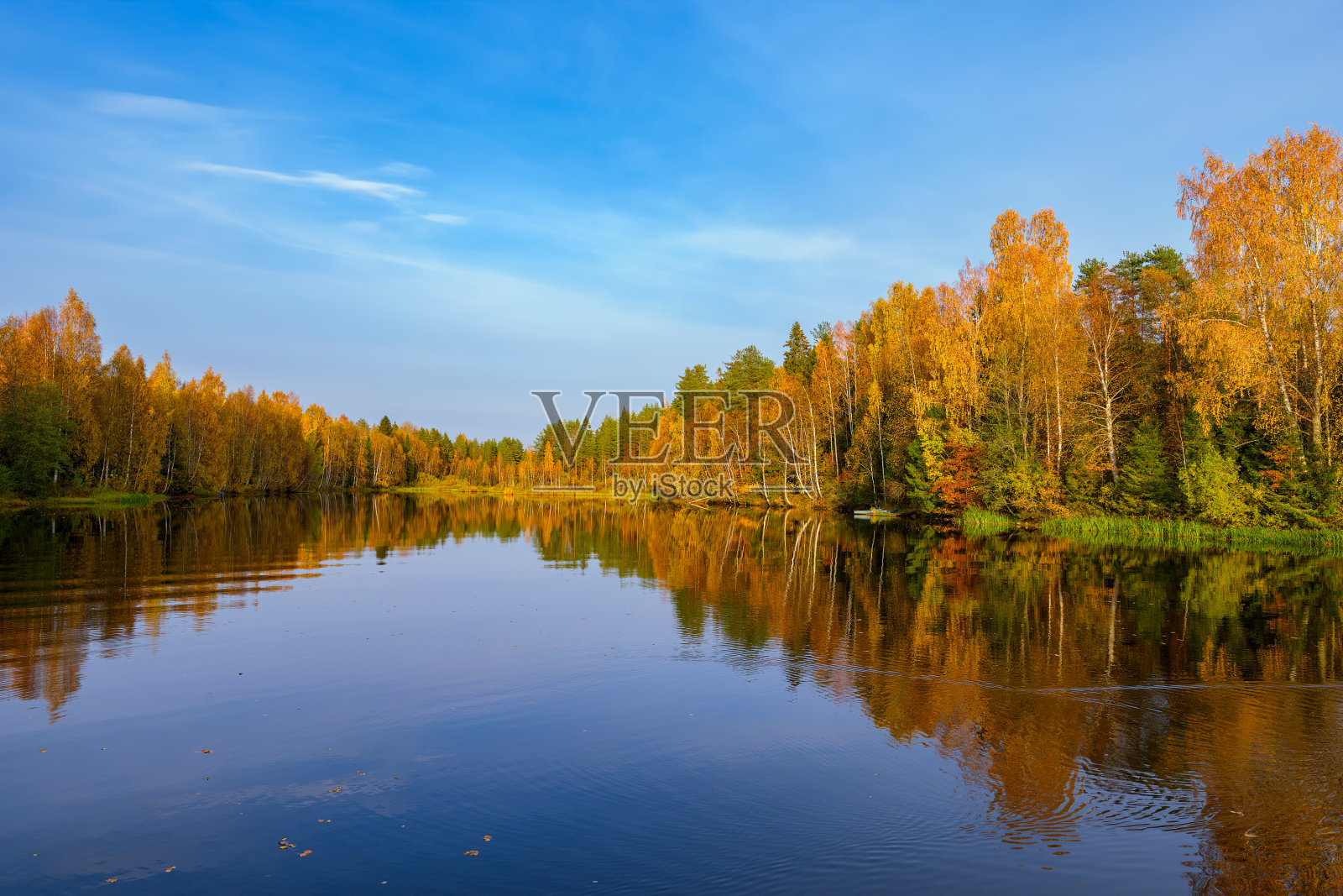 秋叶的火红颜色在树上反映在平静的水面上的森林湖在阳光灿烂的日子照片摄影图片