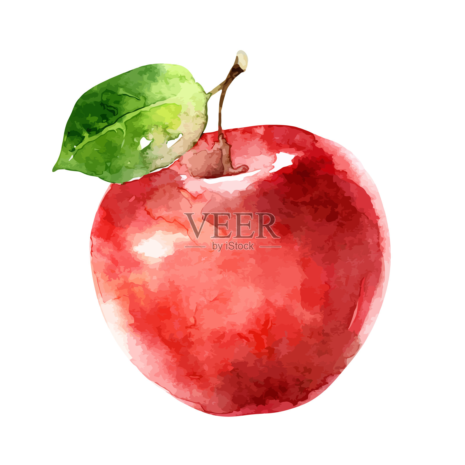 水彩向量苹果在白色的背景插画图片素材