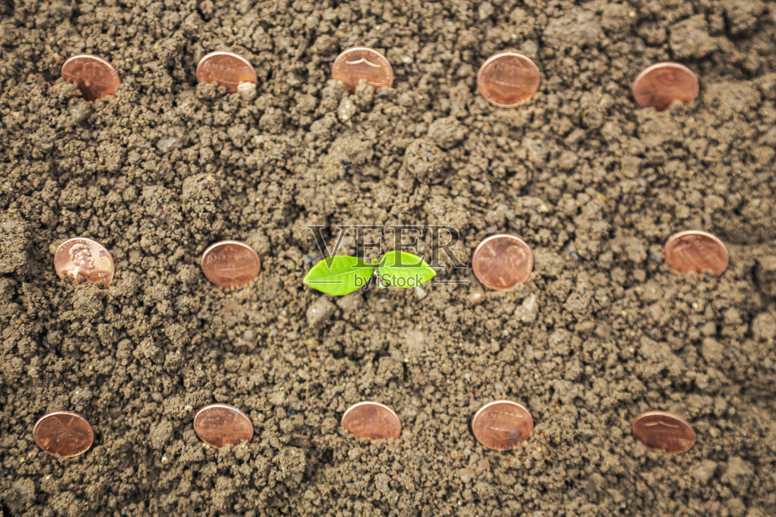 硬币与植物的顶部放在土壤在绿色的自然背景为企业增长的概念照片摄影图片