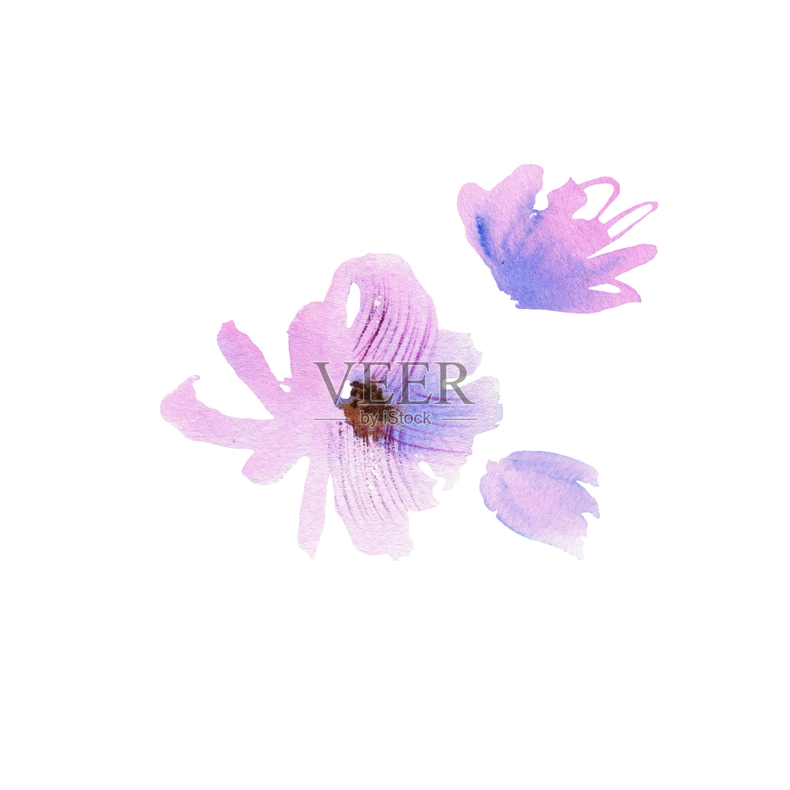 可爱的水彩手绘紫色花朵。插画图片素材
