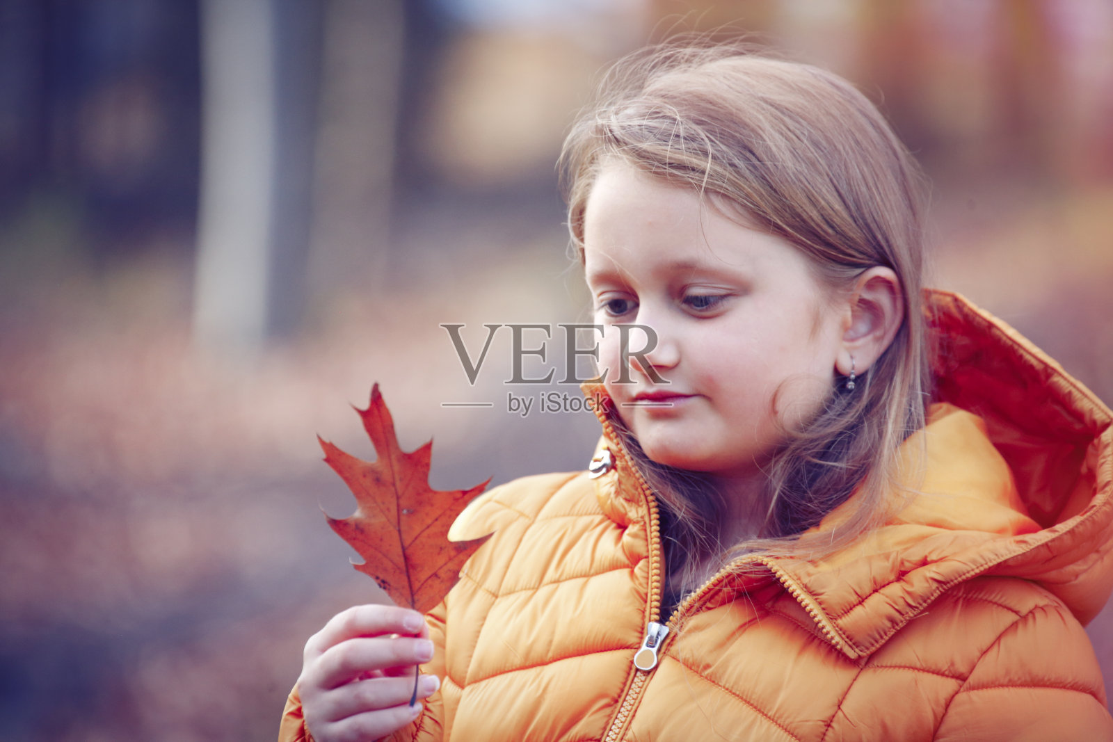 秋天森林里沉思的女孩照片摄影图片