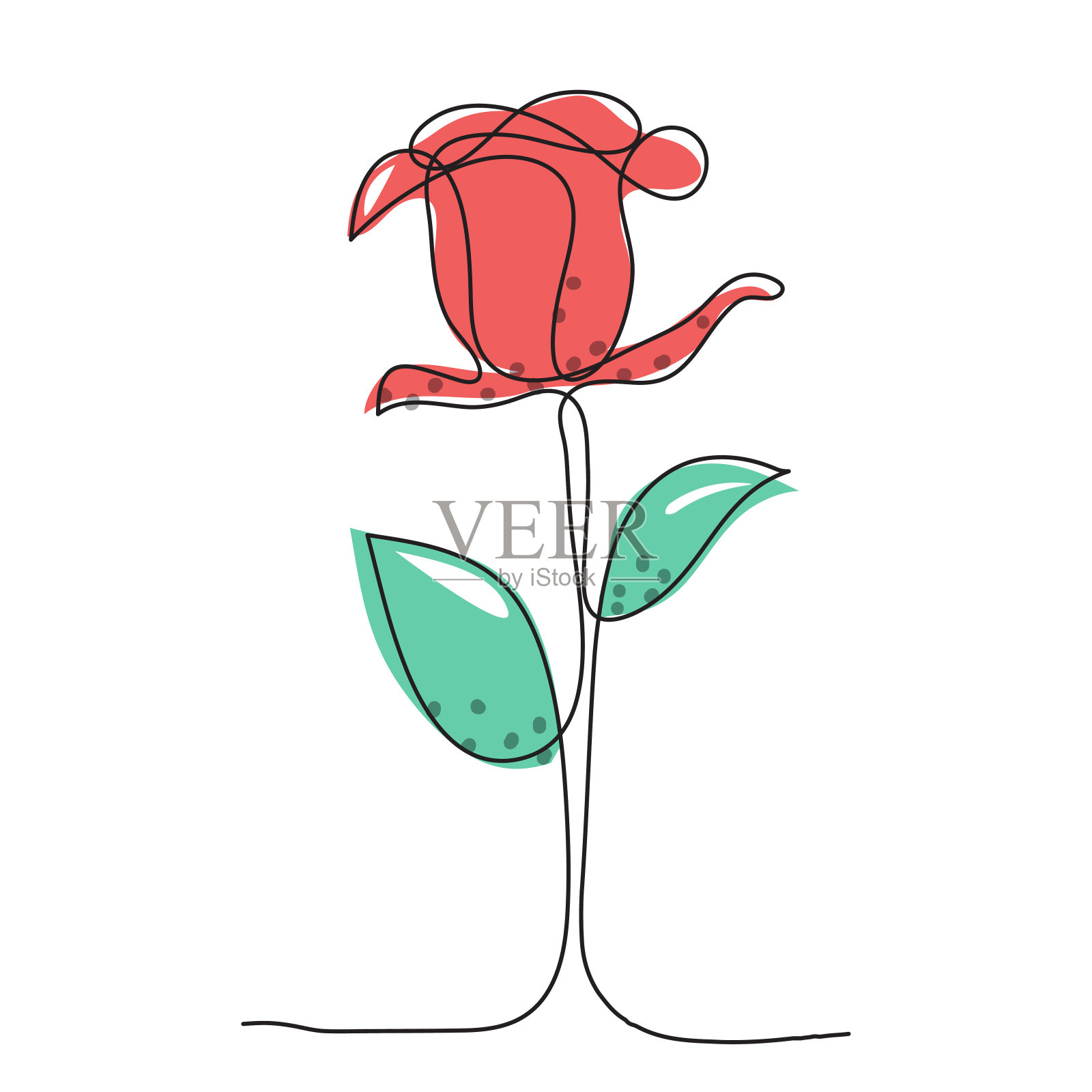 玫瑰的连续线条画插画图片素材