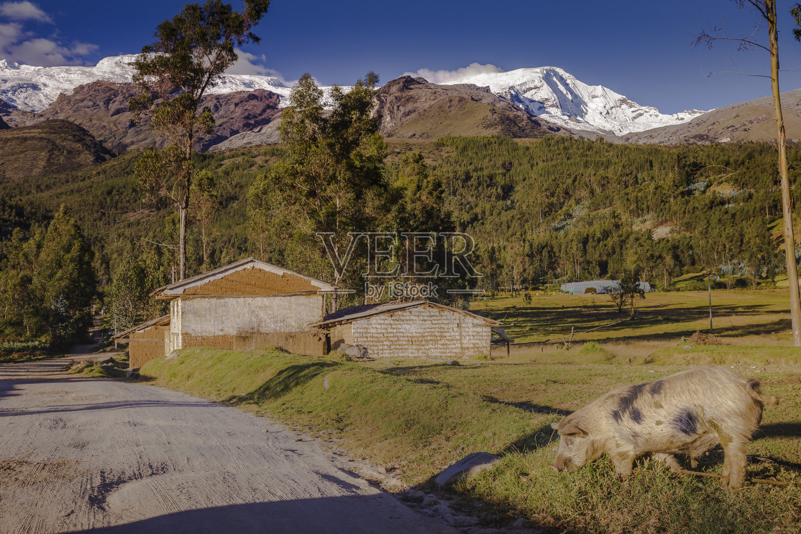秘鲁安第斯山脉瓦拉兹附近的土坯谷仓、家猪和布兰卡山脉景观照片摄影图片