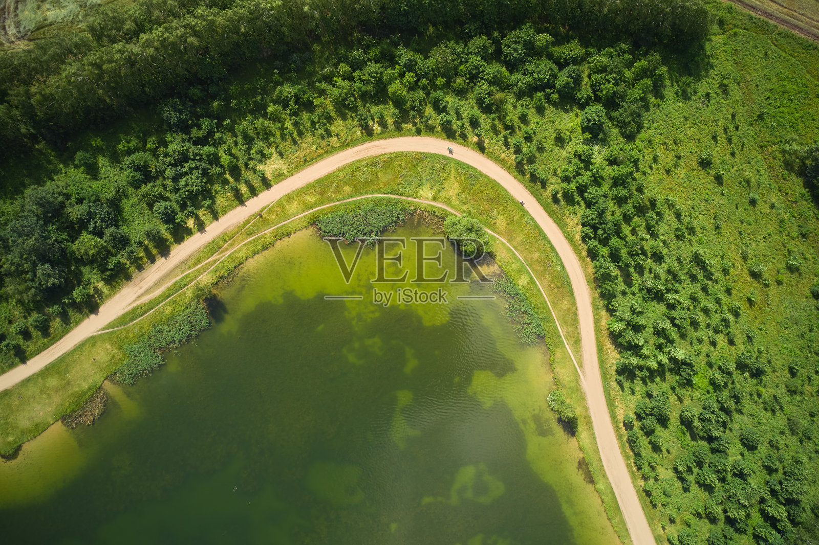 鸟瞰图的乡村道路在绿色的夏季森林和蓝色的湖。照片摄影图片