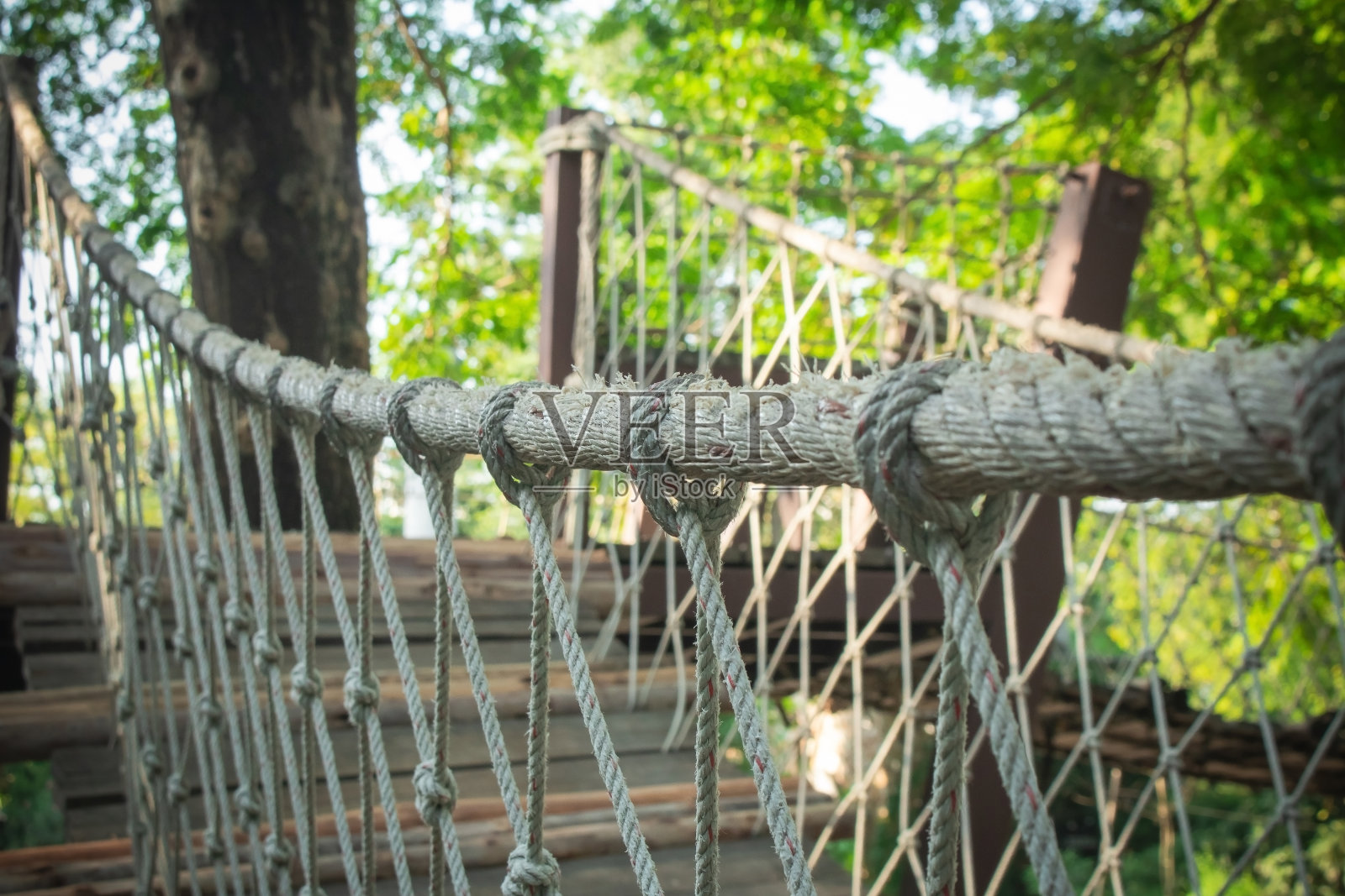 悬挂在树上的栈桥的绳索处理。照片摄影图片