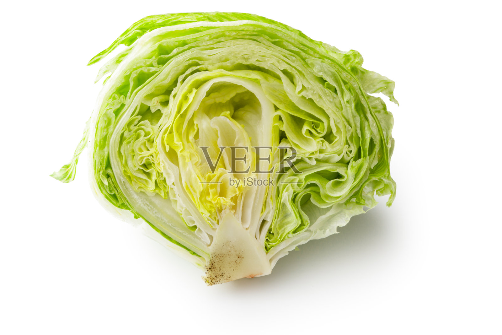 蔬菜:白色背景上孤立的卷心莴苣照片摄影图片