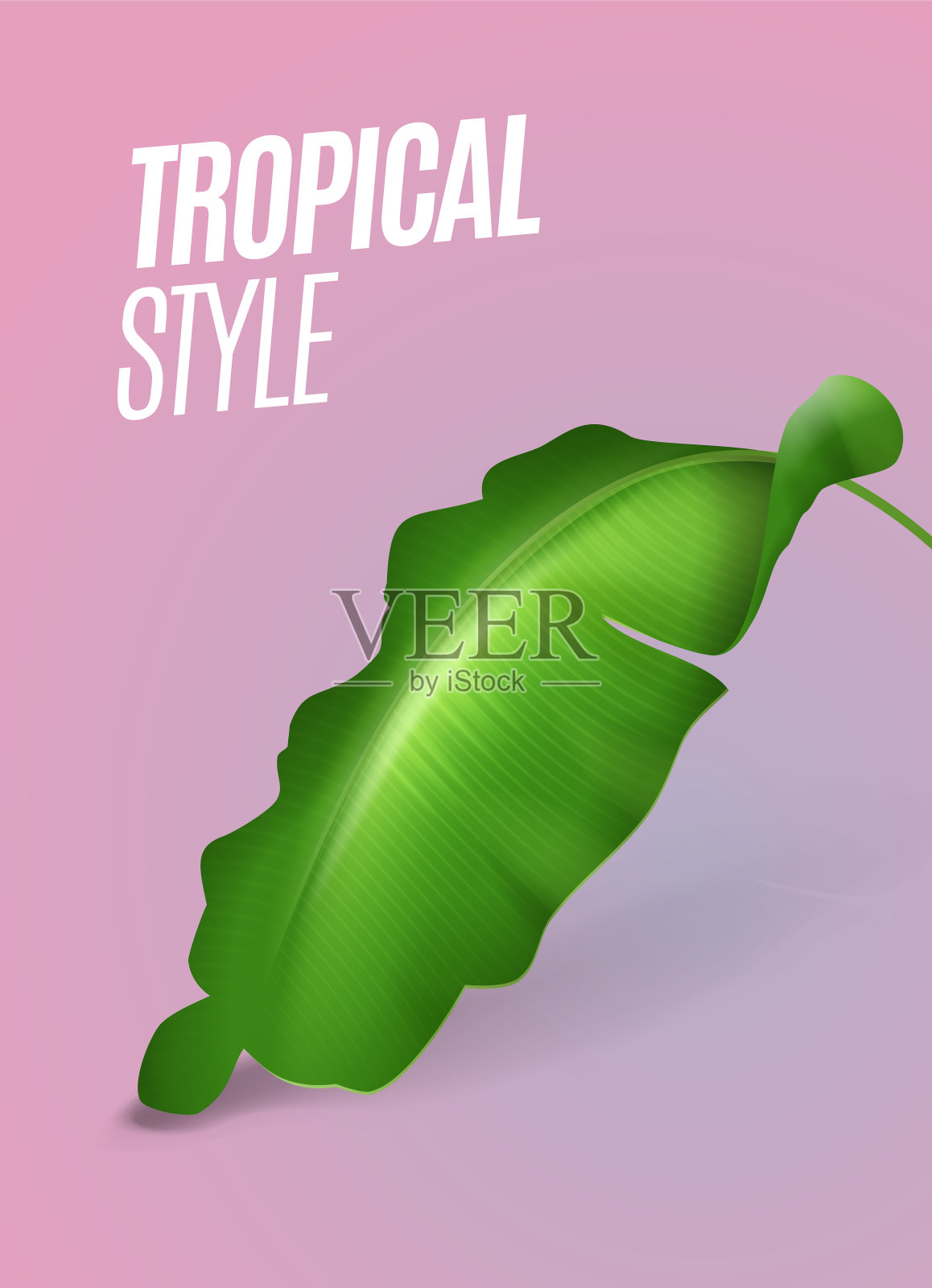 3D高质量的热带树叶背景为您的设计。孤立的向量元素插画图片素材