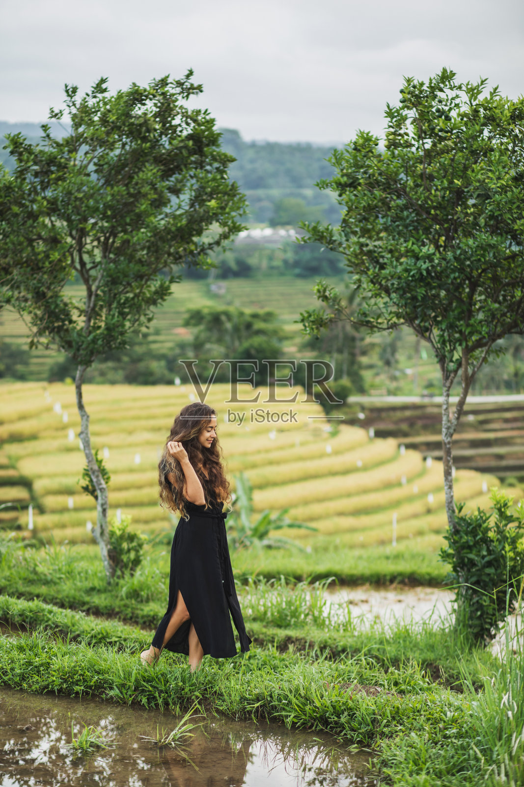 一名妇女在巴厘岛令人惊叹的Jatiluwih梯田前行走。大自然的美与和谐。穿着黑色长裙。照片摄影图片
