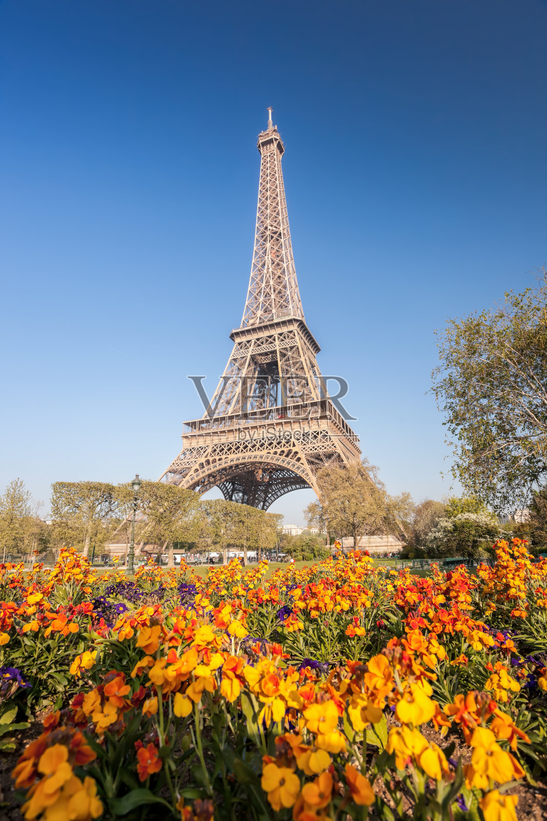 法国巴黎的埃菲尔铁塔，春暖花开照片摄影图片