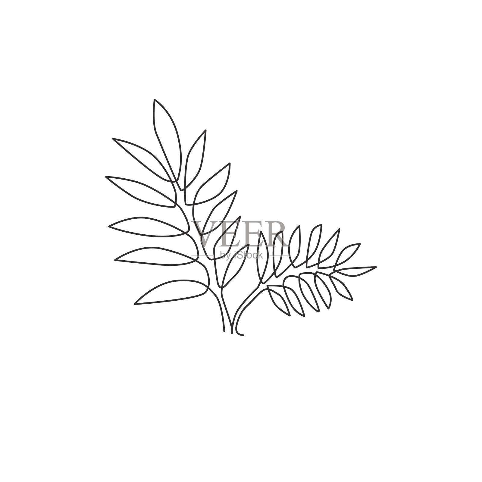 单幅连续线条绘制热带树叶设计元素图片
