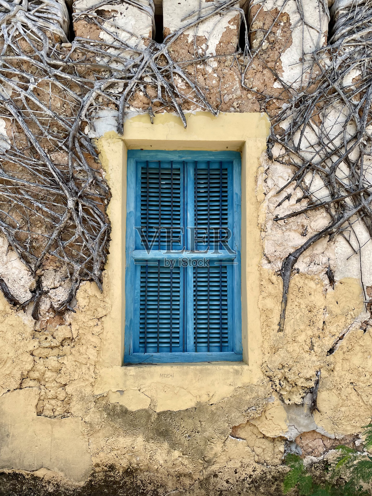 在桑给巴尔市的阿拉伯东方风格的旧窗户照片摄影图片