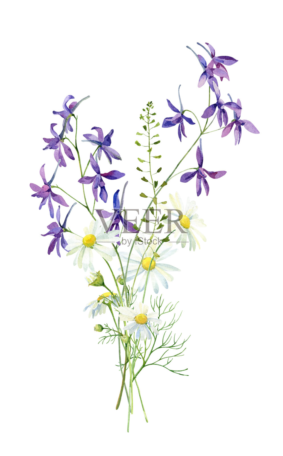 一束蓝色的雏菊水彩画设计元素图片
