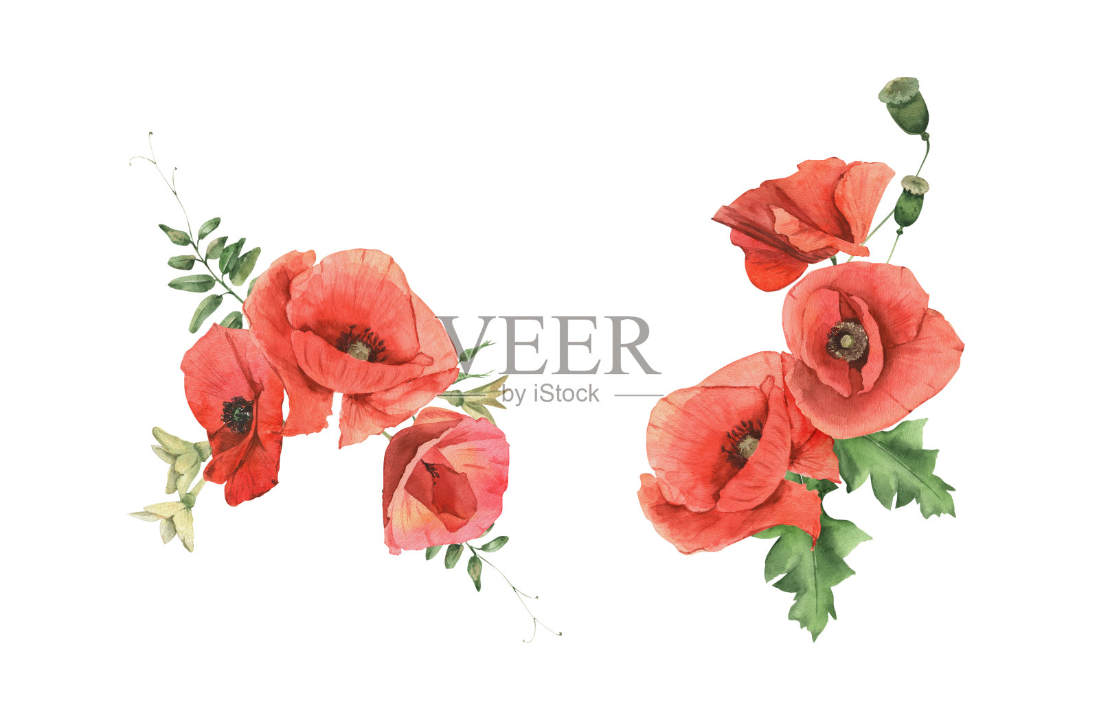 水彩画罂粟花和香草花束。插画图片素材