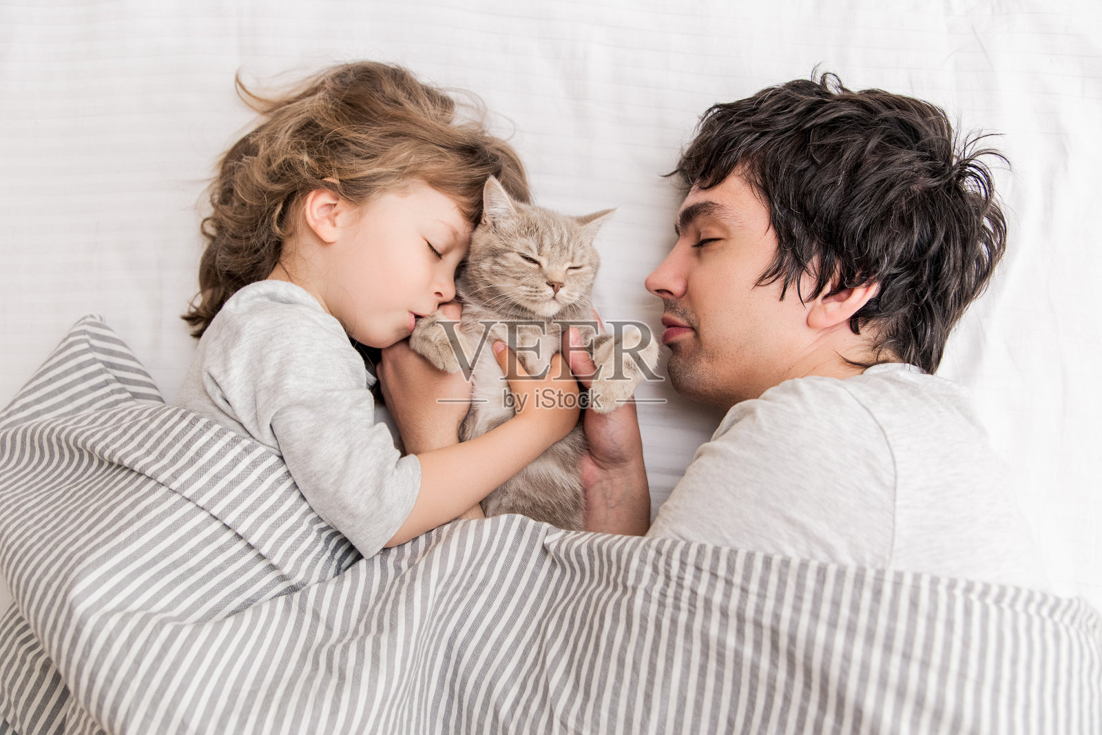可爱的小女孩躺在沙发上，和爸爸和小猫一起玩耍。在家里玩得开心。前视图。父亲节快乐!照片摄影图片