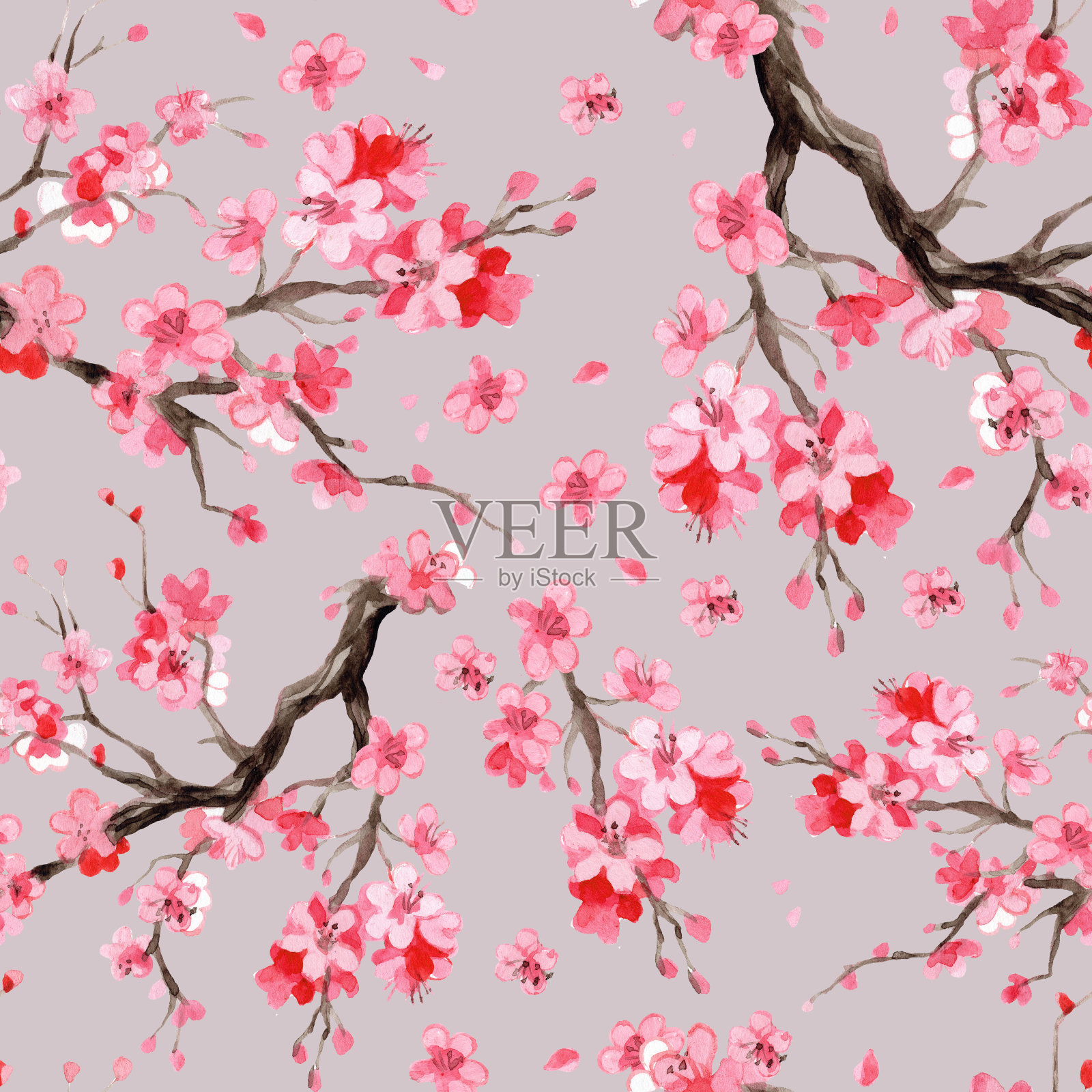 无缝图案与日本樱花枝水彩插画图片素材
