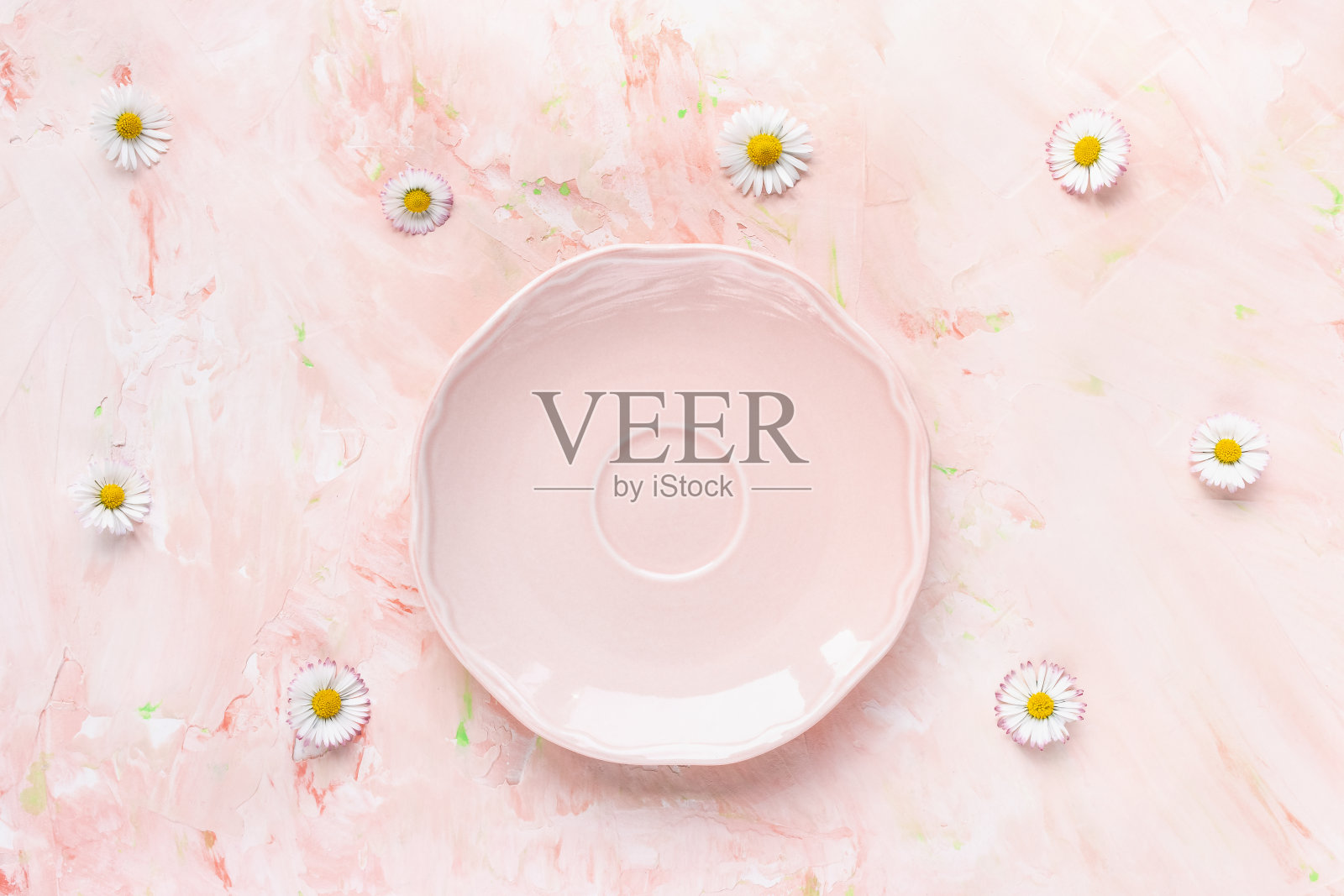 粉红色的茶托和新鲜的夏日雏菊花照片摄影图片
