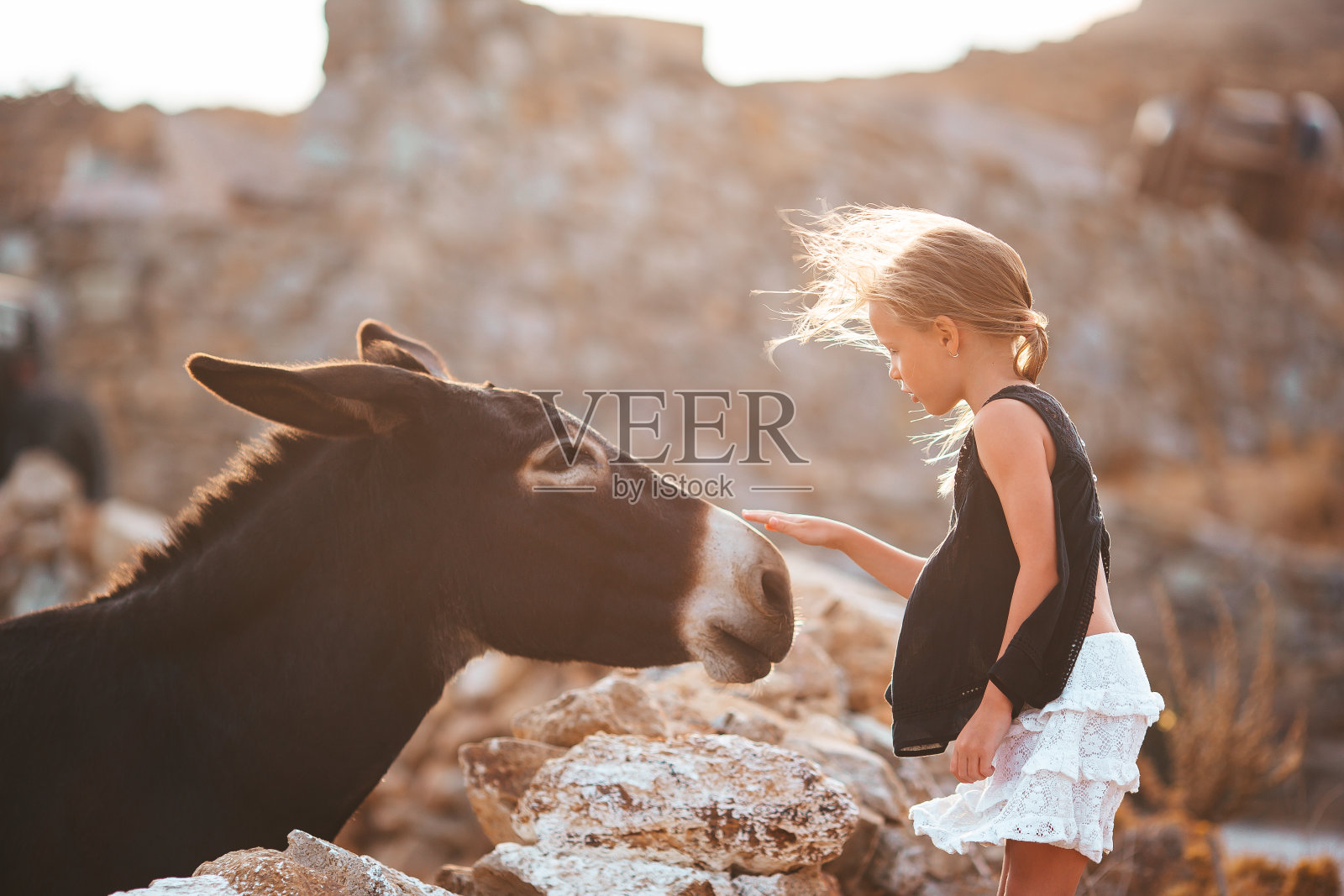 米科诺斯岛上的小女孩和驴子照片摄影图片