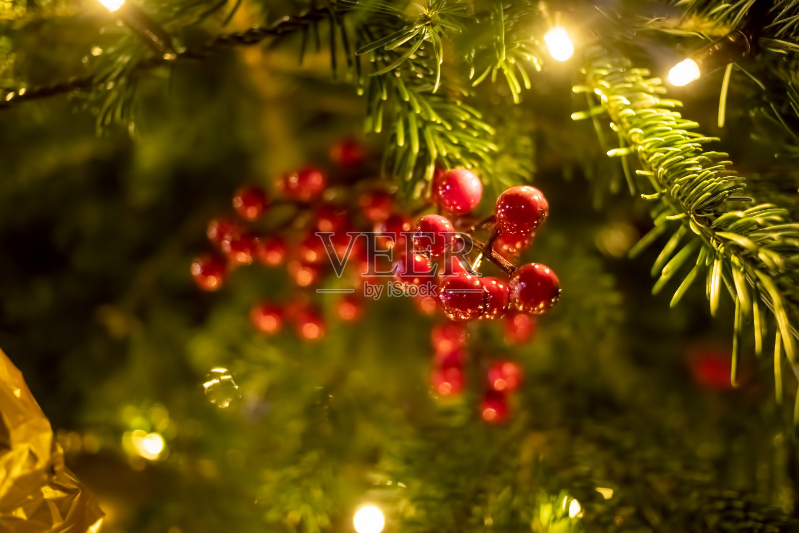 红莓枝特写装饰云杉枝。在背景的圣诞和新年的树枝与灯光模糊。特写,柔软的焦点,照片摄影图片