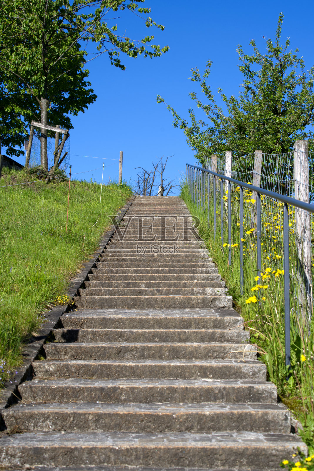 春天的时候，古老的楼梯被用来铺路。照片摄影图片