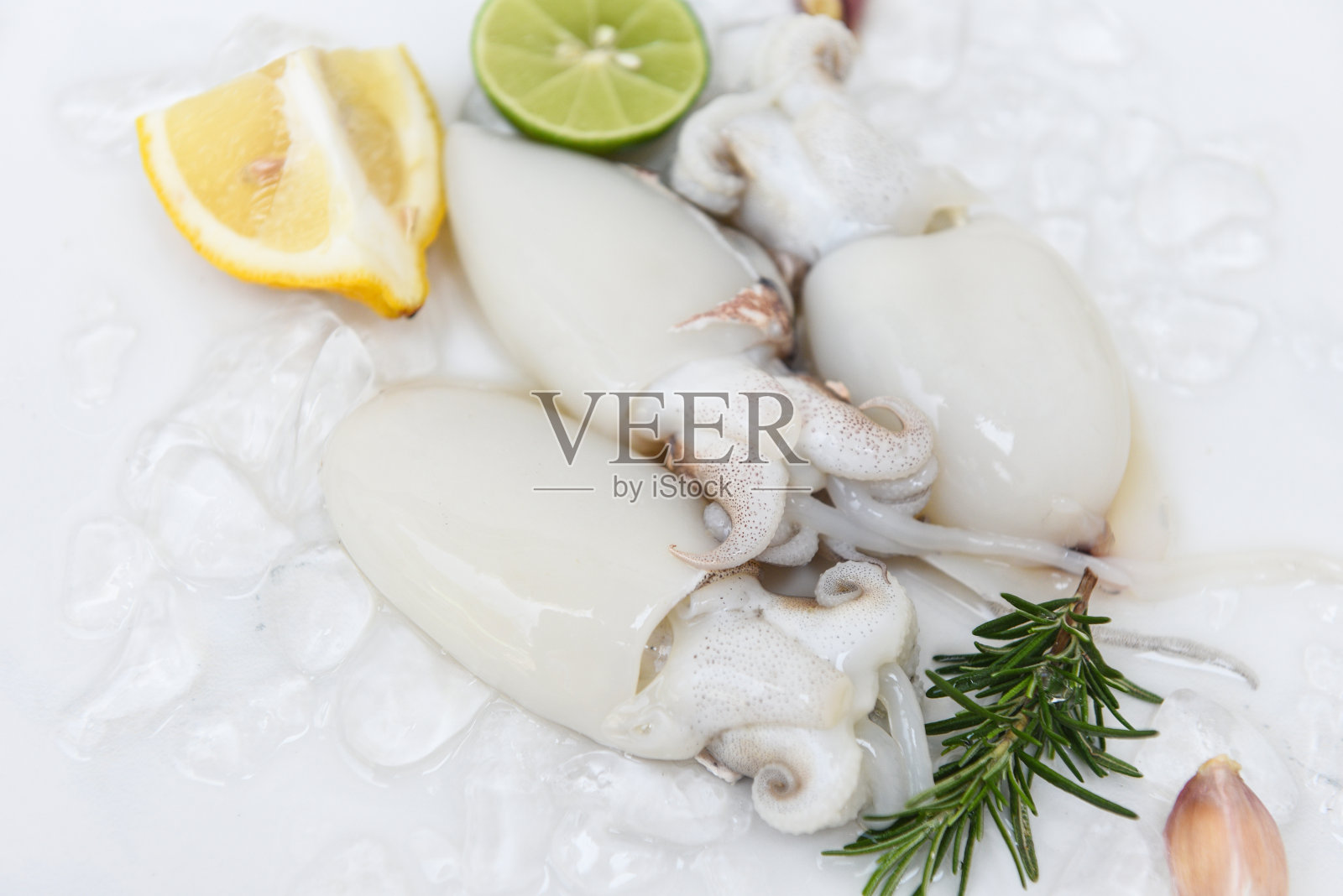 鲜嫩的生章鱼墨鱼，配以柠檬和迷迭香的海洋美食，放在白色的盘子里照片摄影图片