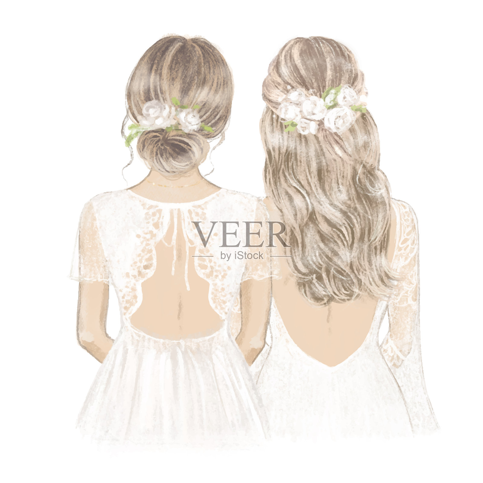 新娘和伴娘，头上戴着白玫瑰。手绘插图插画图片素材