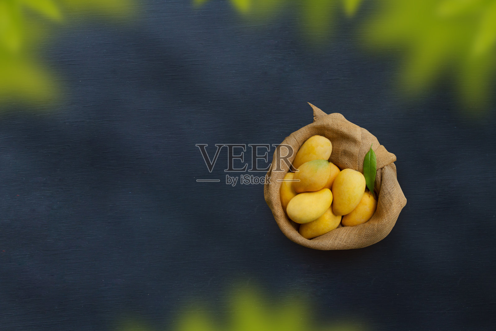 成熟的芒果，叶绿枝黑底照片摄影图片