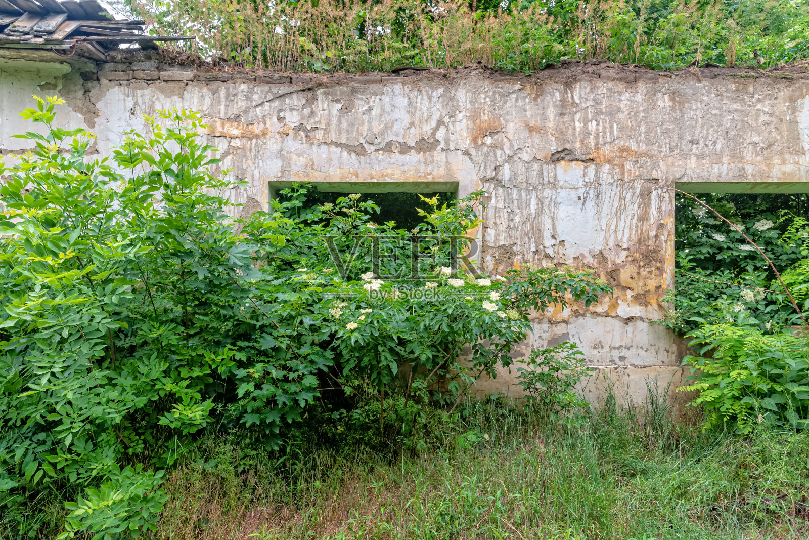 破旧的废弃的建筑物废弃的房屋照片摄影图片