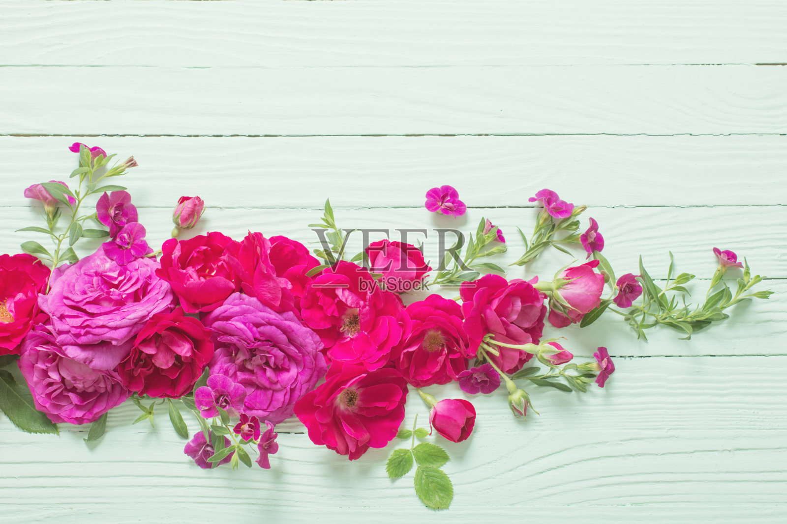 粉红色和红色的玫瑰在绿色的木质背景上照片摄影图片