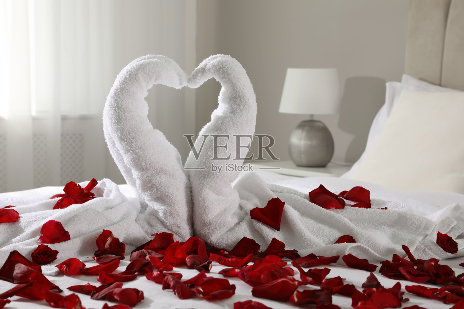 用毛巾和红玫瑰花瓣做的漂亮天鹅在房间的床上照片摄影图片