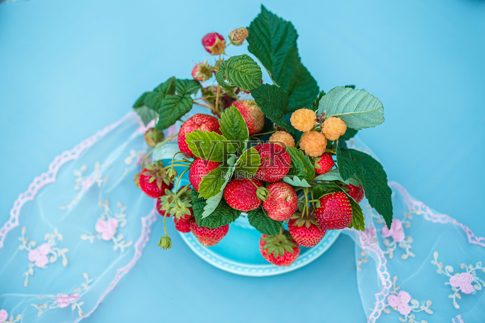 一个盛着一束浆果的杯碟。在浅蓝色背景下的草莓叶子照片摄影图片