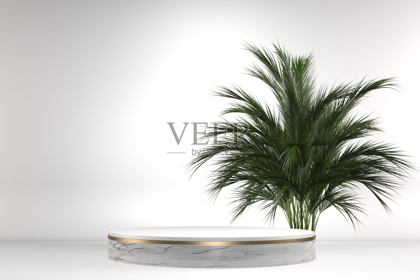 热带花岗岩裙台几何和植物装饰在白色的背景。3d渲染照片摄影图片