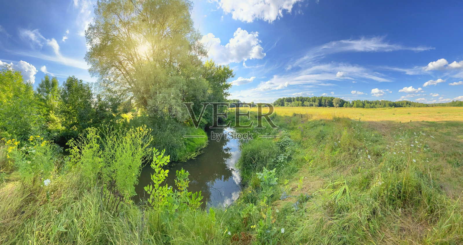 阳光明媚的日子里，绿茵茵的草地上流淌着一条小河照片摄影图片
