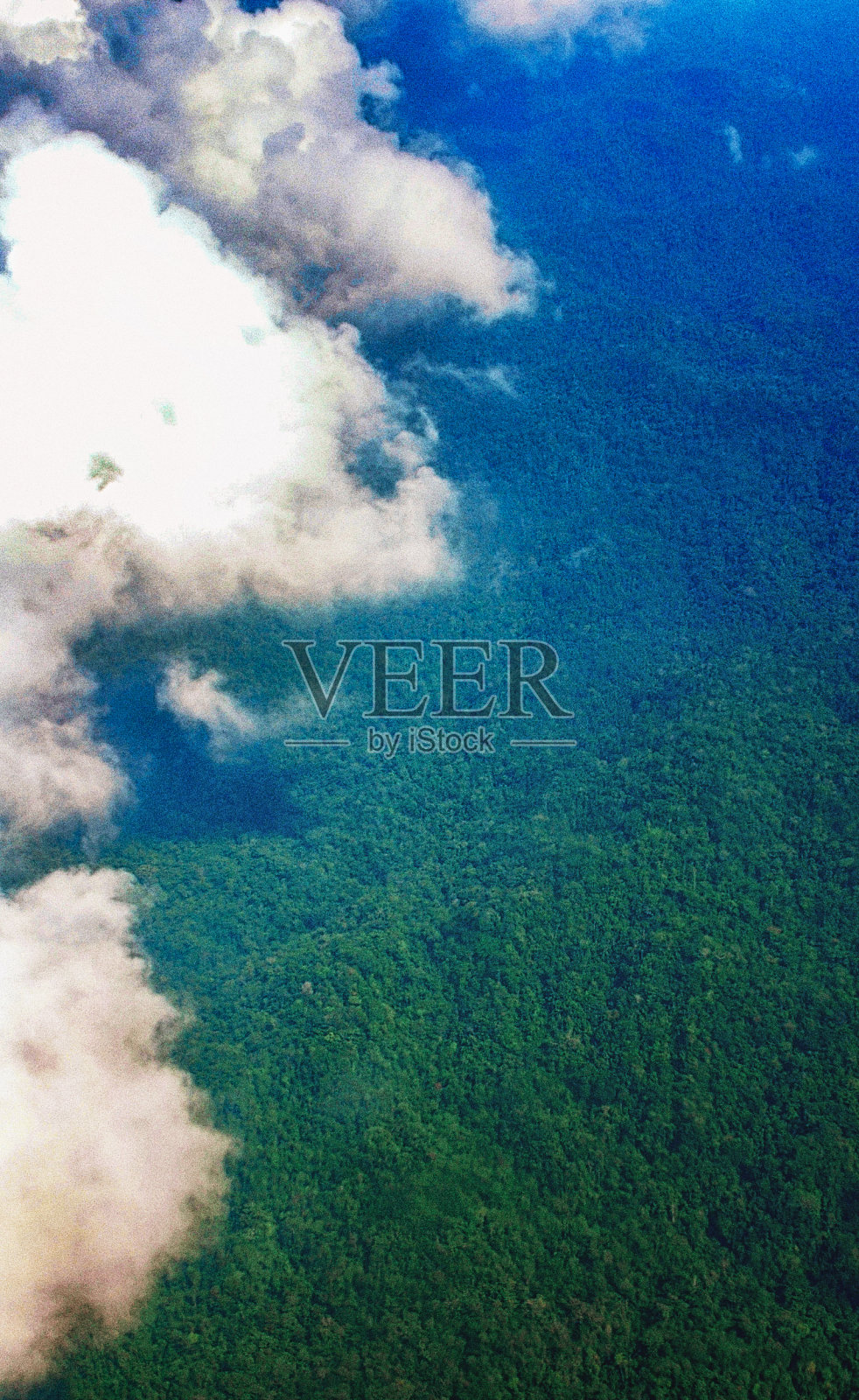 新几内亚的原始雨林照片摄影图片