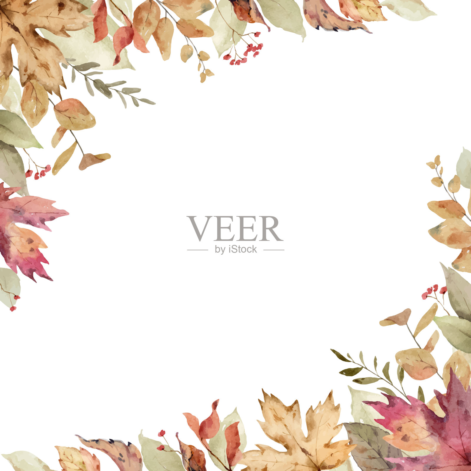 水彩向量卡与落叶和树枝孤立在白色的背景。插图贺卡，婚礼请柬，花卉海报和装饰。插画图片素材