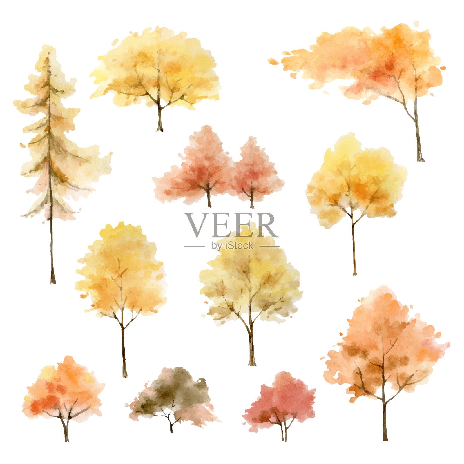 一套水彩向量秋天树孤立在白色的背景。手绘插图设计的明信片，贺卡，剪贴簿和更多。设计元素图片