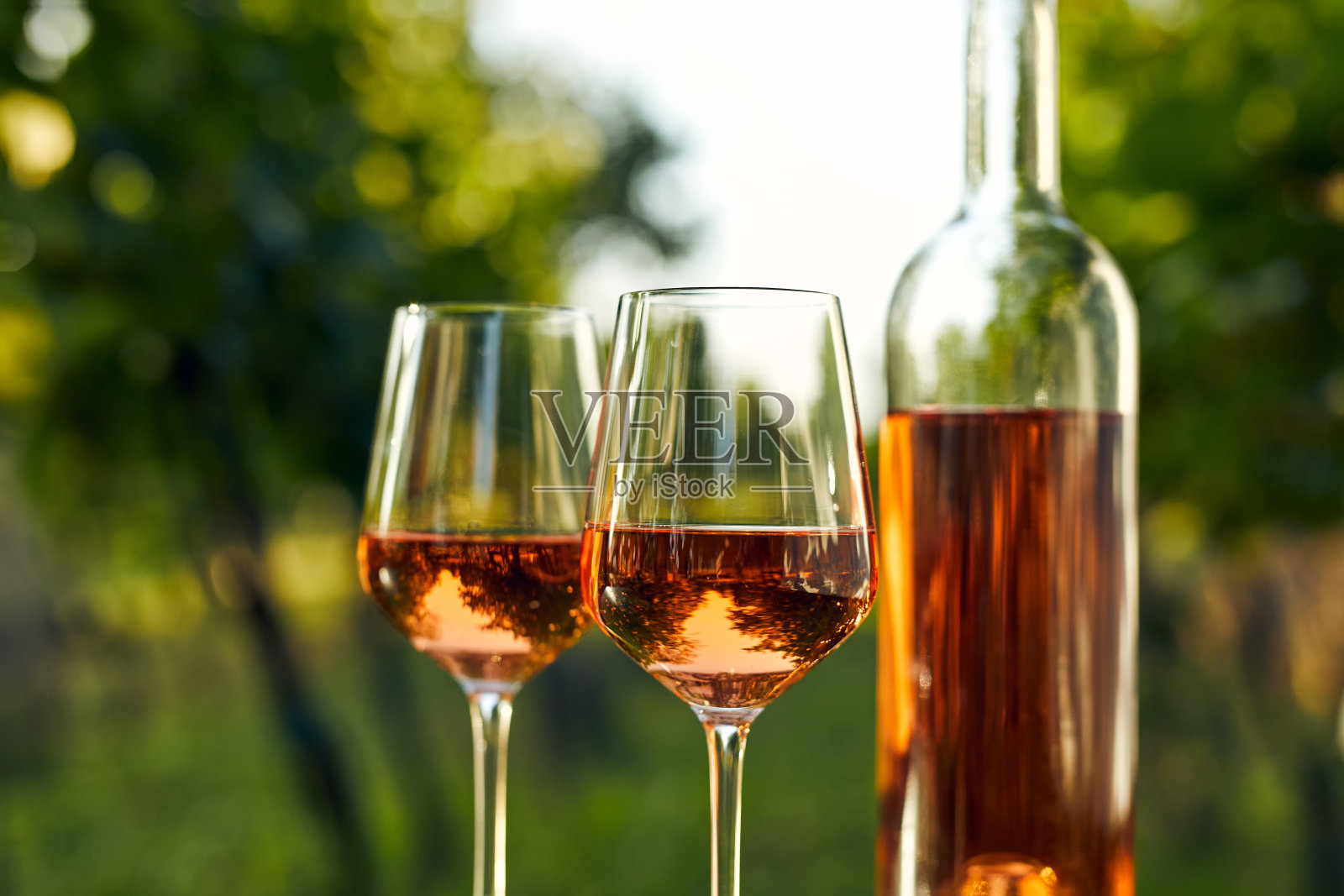 葡萄园里的两个玻璃杯和一瓶rosÃ©葡萄酒的特写照片摄影图片