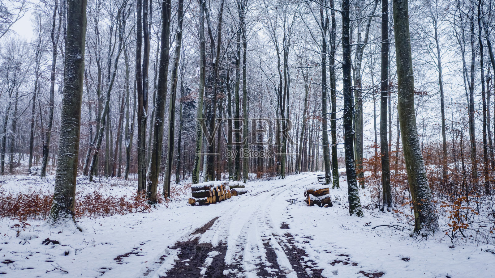 森林里下雪的乡村道路。鸟瞰野生动物，波兰。照片摄影图片