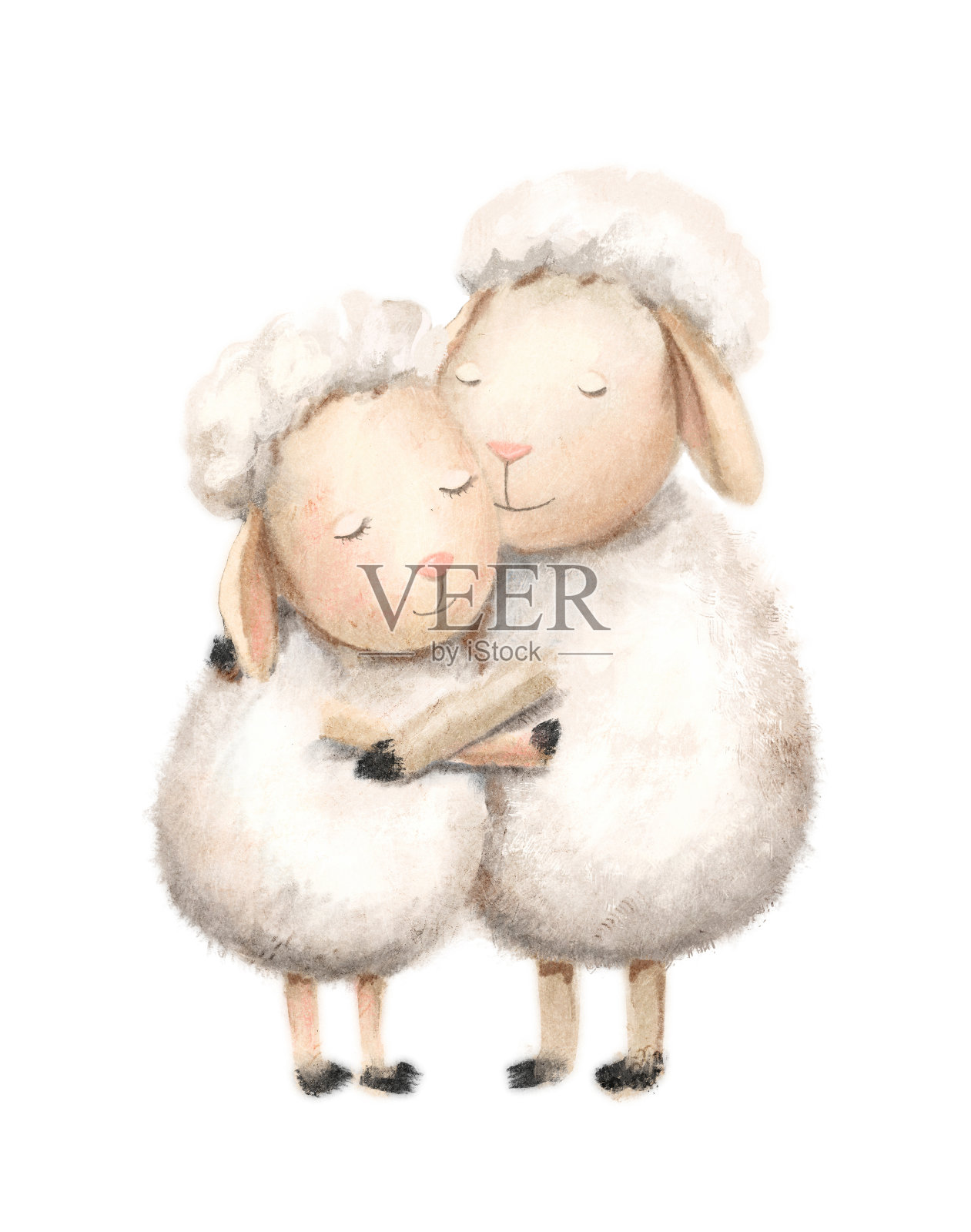 水彩插图与两只动物，一对白色绵羊互相拥抱和微笑插画图片素材