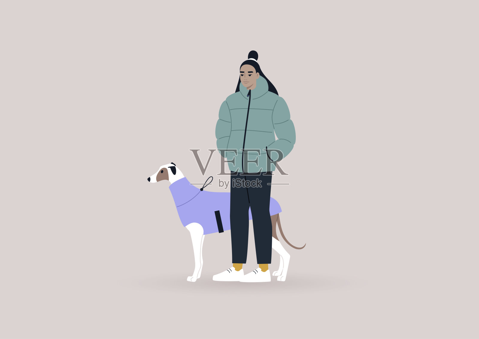 一位年轻的亚洲女灰狗主人带着他们的宠物散步，冬天，狗的衣服插画图片素材