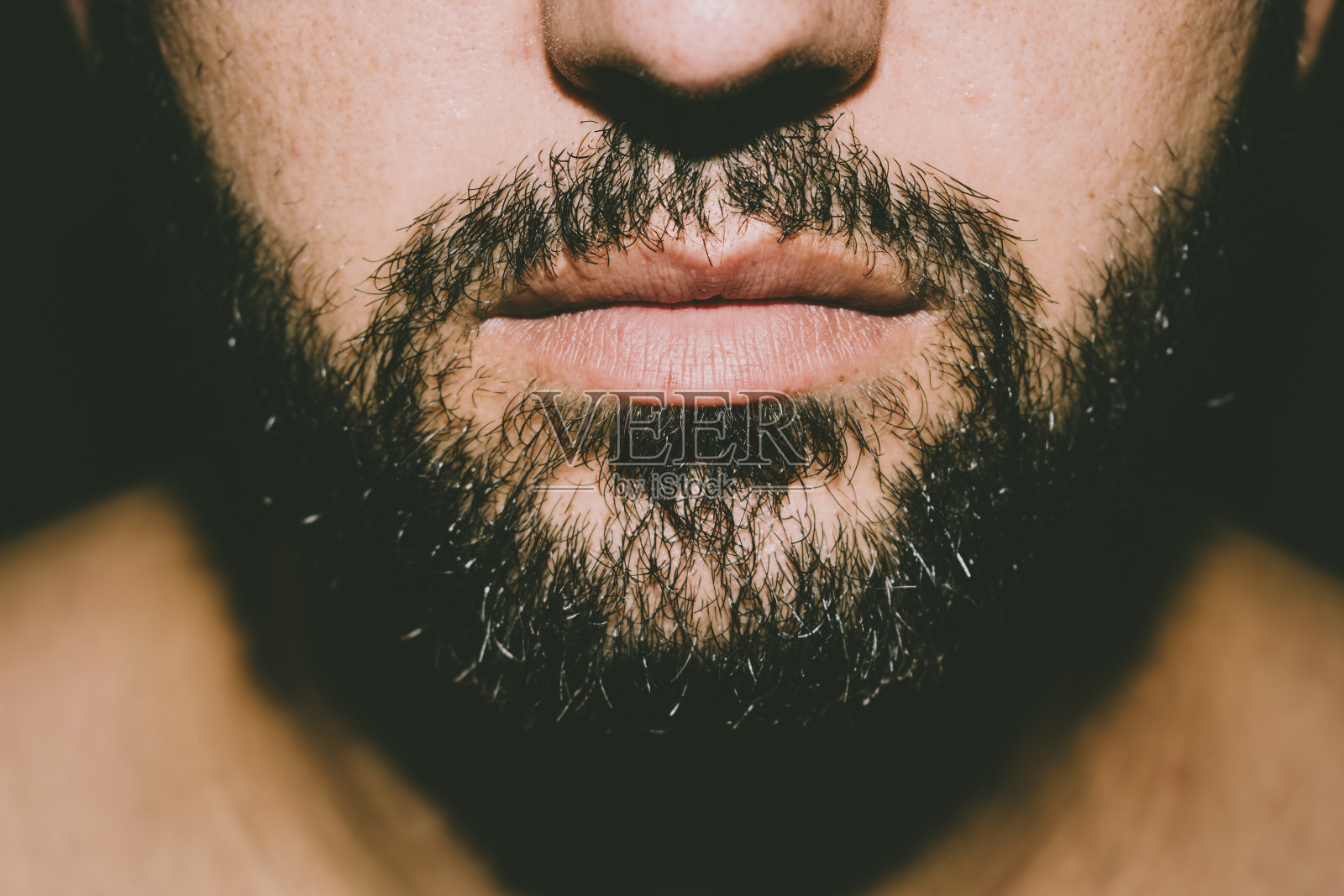 长胡子严肃的成年男子脸的下半部分。照片摄影图片