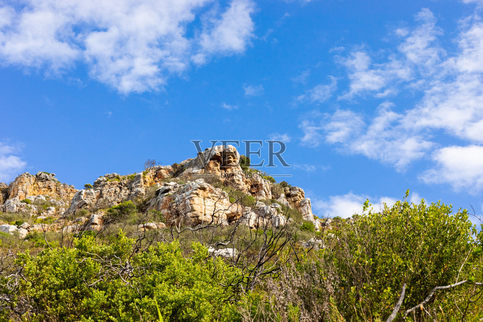 开普敦崎岖的山地景观与fynbos灌木植物群照片摄影图片